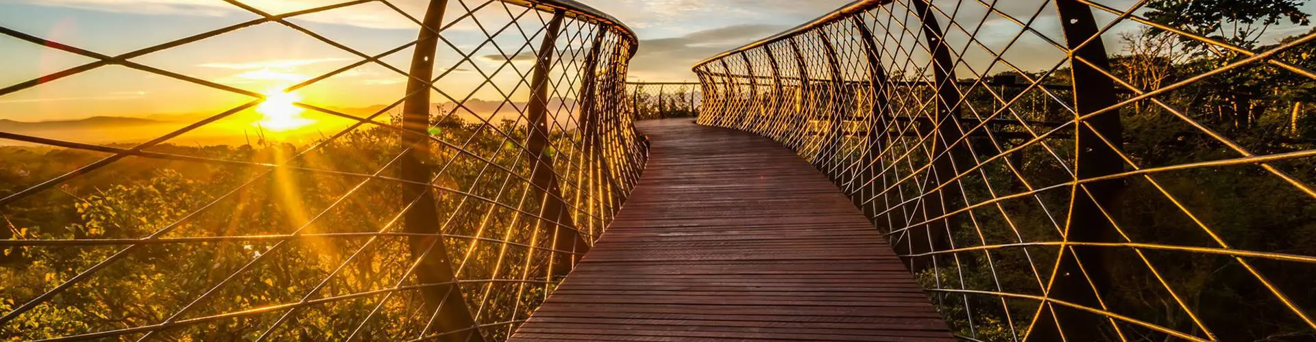 The Boomslang walkway in South Africa