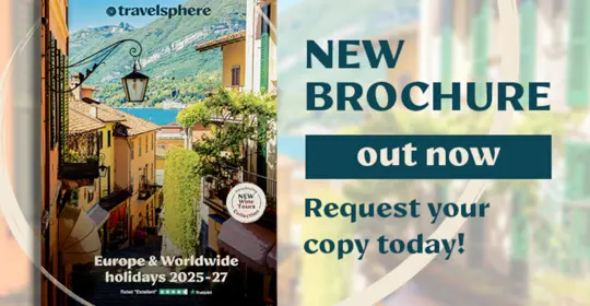 1000x580 TS brocure asset.jpg