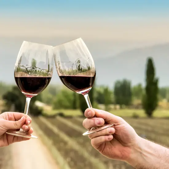 red wine in a vine yard