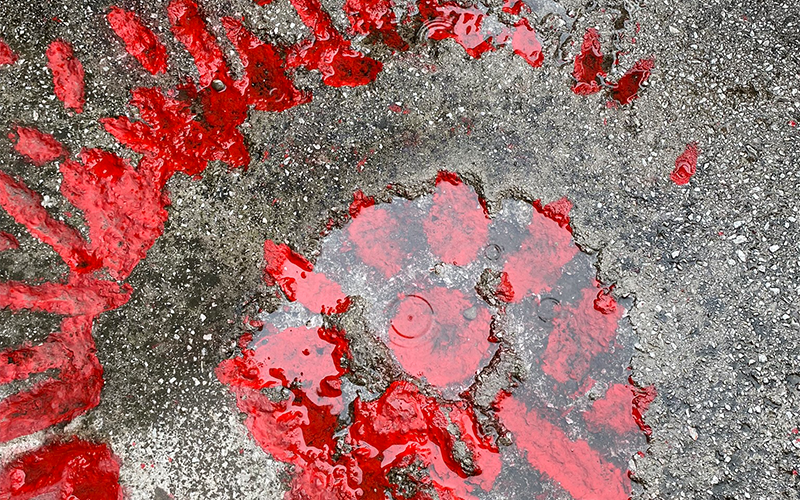 sarajevo rose